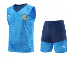 2024-2025 SE Palmeiras Blue Thailand Soccer Vest Uniform-418