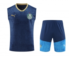 2024-2025 SE Palmeiras Royal Blue Thailand Soccer Vest Uniform-418