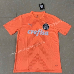 2022-2023 SE Palmeiras Orange Thailand Training Soccer Jersey AAA-2851