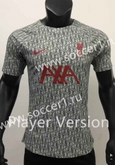 Player Version 2023-2024 Special Version Liverpool Gray&White Thailand Soccer Jersey AAA-1959