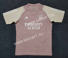 2023-2024 Olympique Lyonnais Pink Thailand Soccer Jersey AAA-0871
