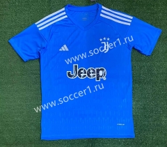 2023-2024 Juventus Goalkeeper Blue Thailand Soccer Jersey AAA-416