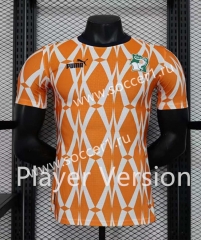Player Version 2023-2024 Ivory Coast Orange Thailand Soccer Jersey AAA-888