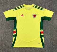 2024-2025 Wales Away Yellow Thailand Soccer Jersey AAA-512