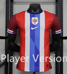 Player Version 2024-2025 Norway Home Red Thailand Soccer Jersey AAA-888