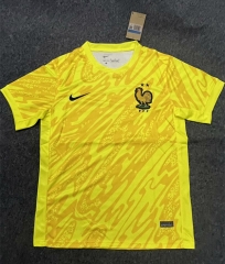 2024-2025 France Goalkeeper Yellow Thailand Soccer Jersey AAA-0485