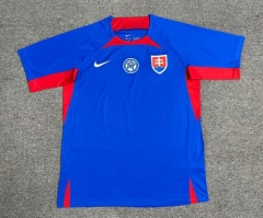 2024-2025 Slovakia Home Blue Thailand Soccer Jersey AAA-512