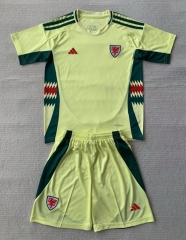 2024-2025 Wales Away Yellow Soccer Uniform-AY