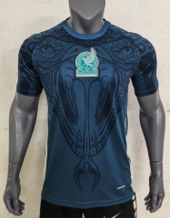2024-2025 Mexico Black&Green Thailand Training Soccer Jersey AAA-416