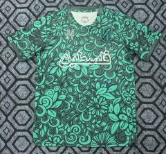 2025-2026 Special Version Palestine Green Thailand Soccer Jersey AAA -2483
