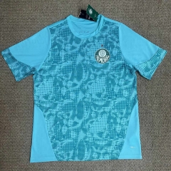 (S-4XL) 2026-2027 SE Palmeiras Blue Thailand Soccer Training Jersey AAA-6149