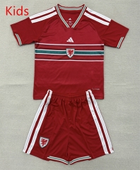 2026-2027 Wales Away Yellow Kids/Youth Soccer Uniform-AY