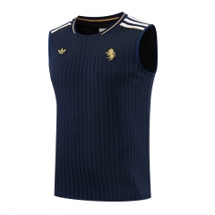 26-27 Juventus Royal Blue Thailand Training Soccer Vest-418